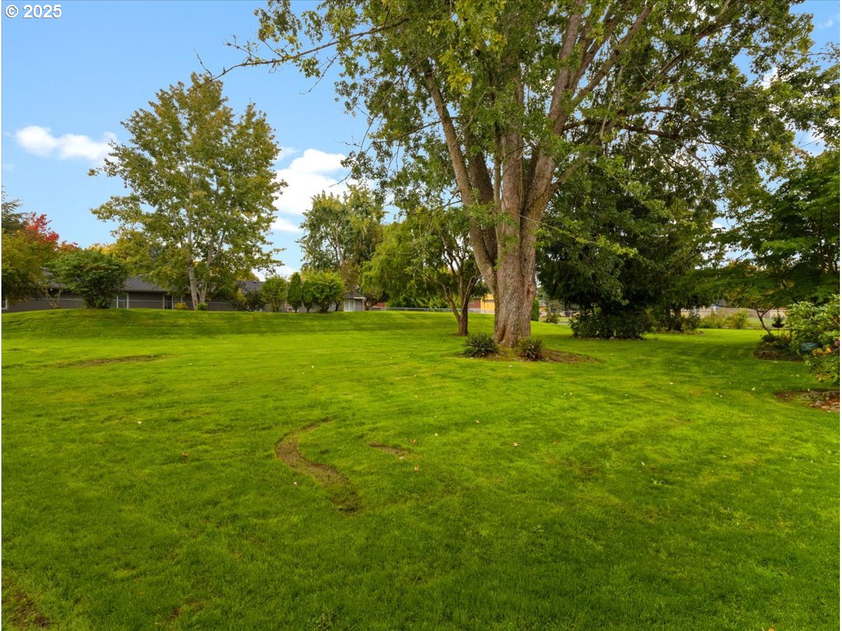 Photo #34: 468037407 Listing: Photo #34