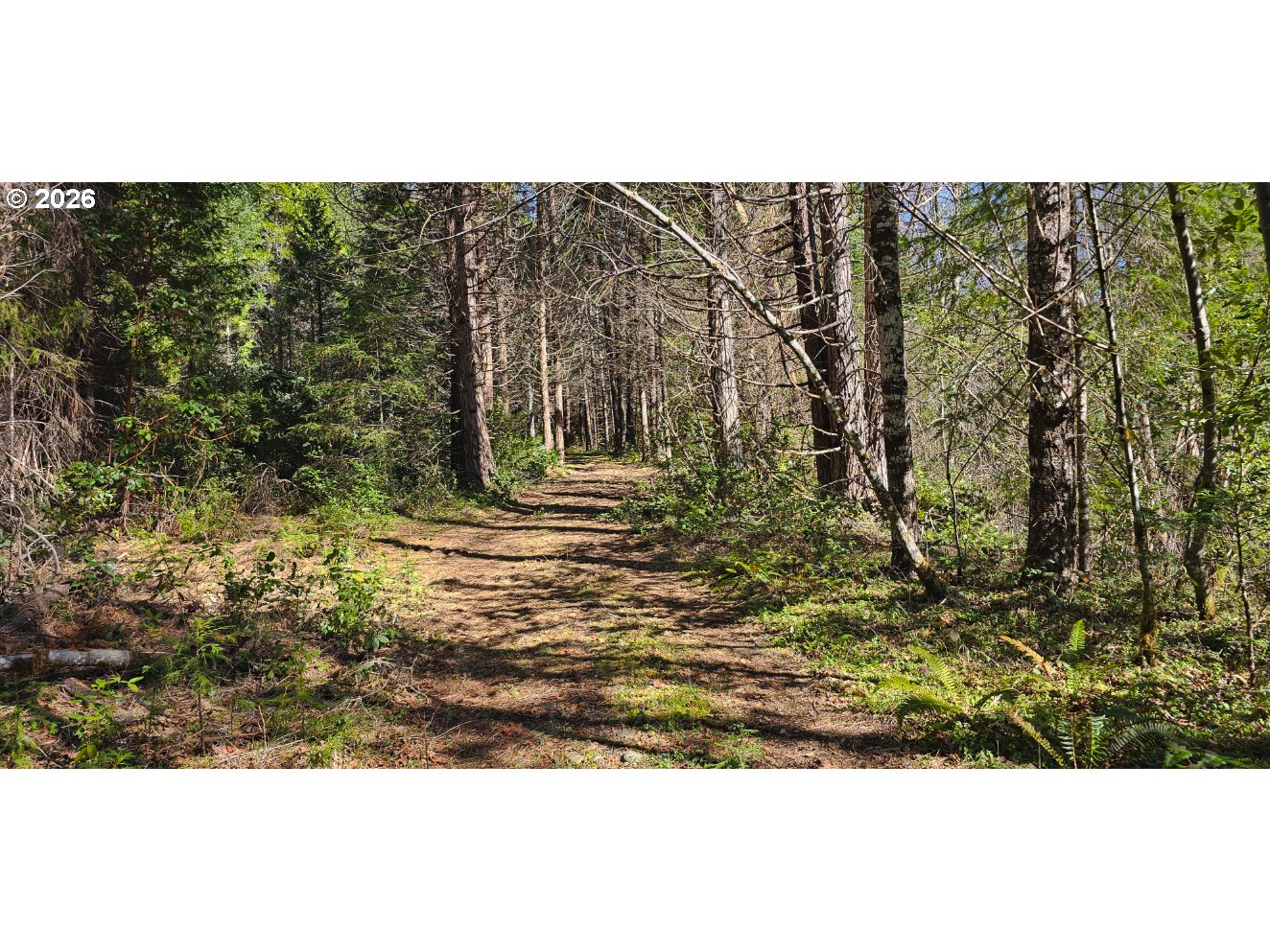 0 CAVES HWY, Cave Junction, OR, 97523