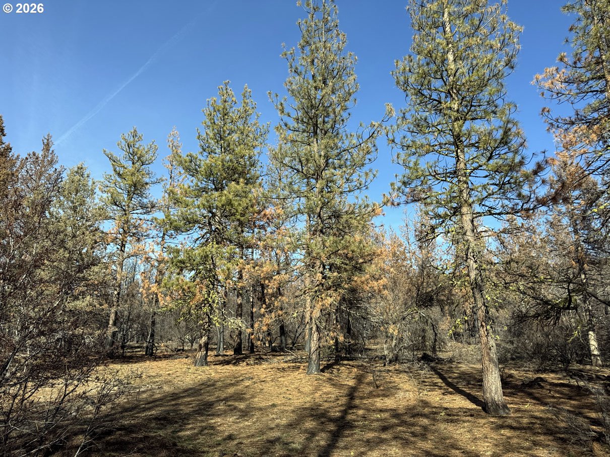 Search Homes for Sale