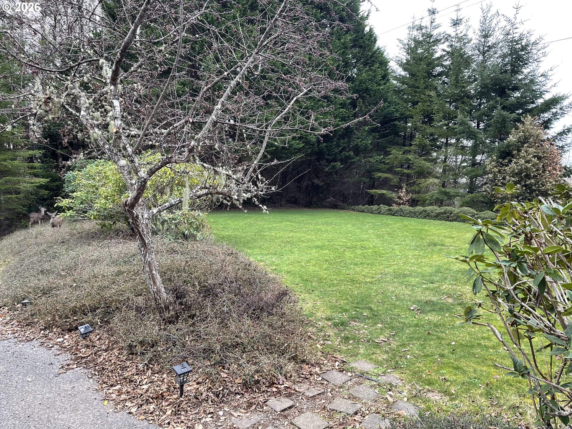 17130 EASTWOOD LN, Brookings, OR, 97415