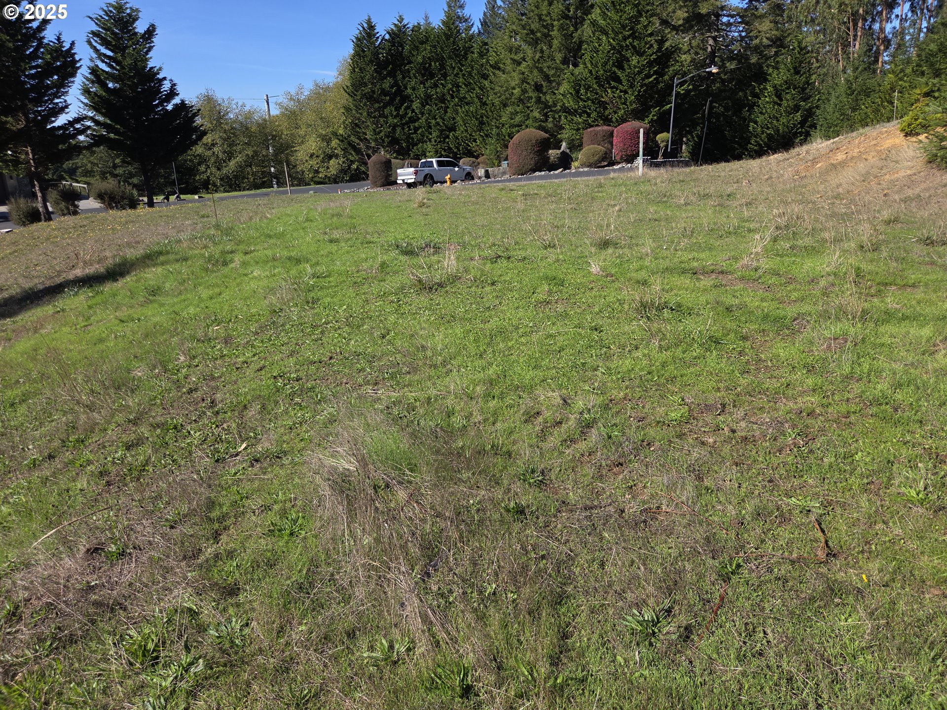 7771 ZOE DR, Brookings, OR, 97415