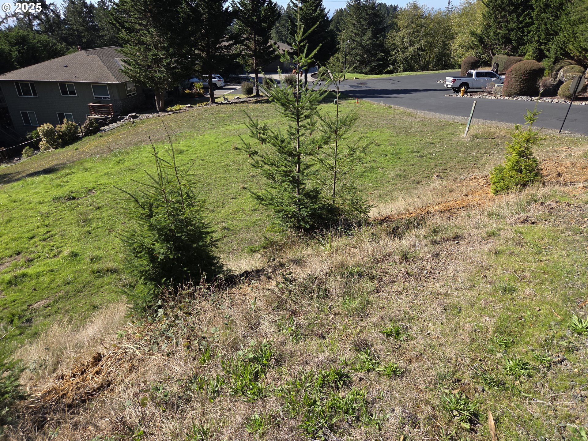 7771 ZOE DR, Brookings, OR, 97415