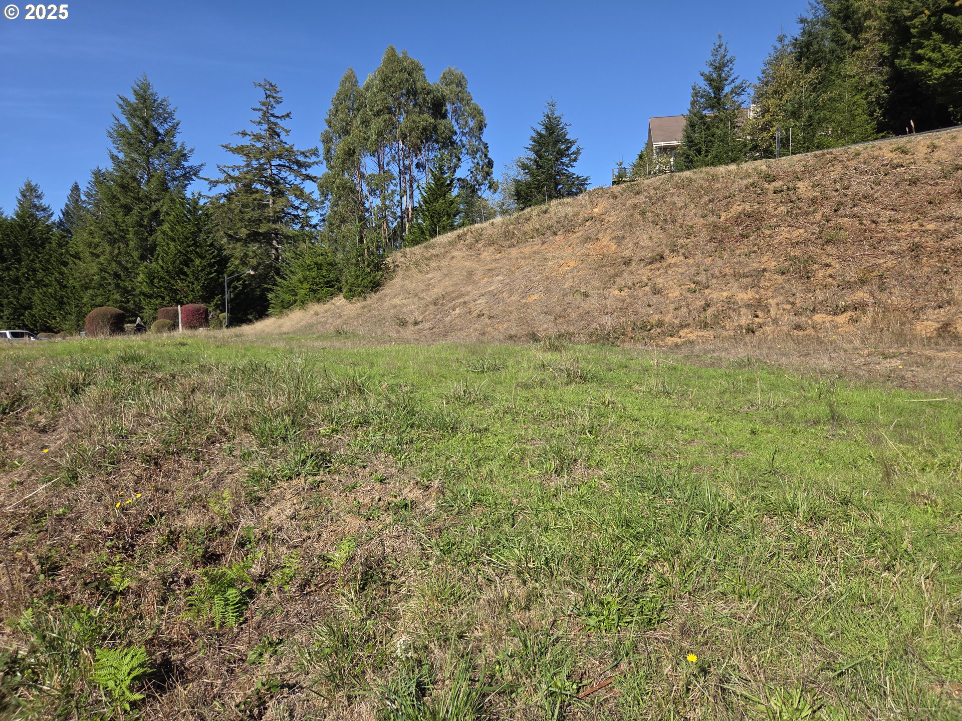 7771 ZOE DR, Brookings, OR, 97415