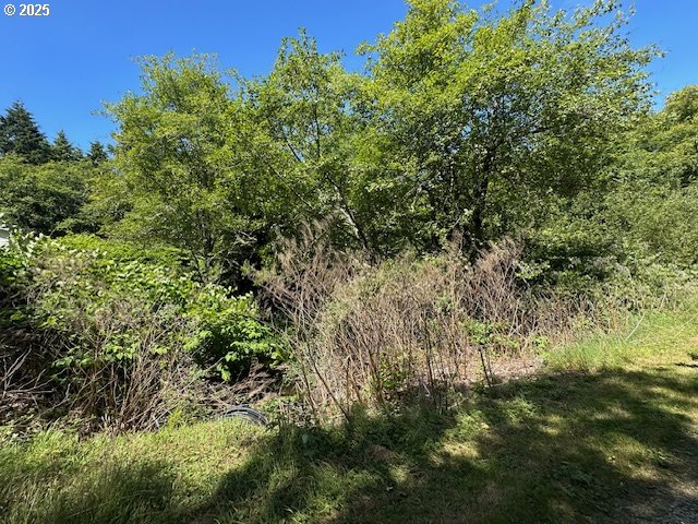 Search Homes for Rent