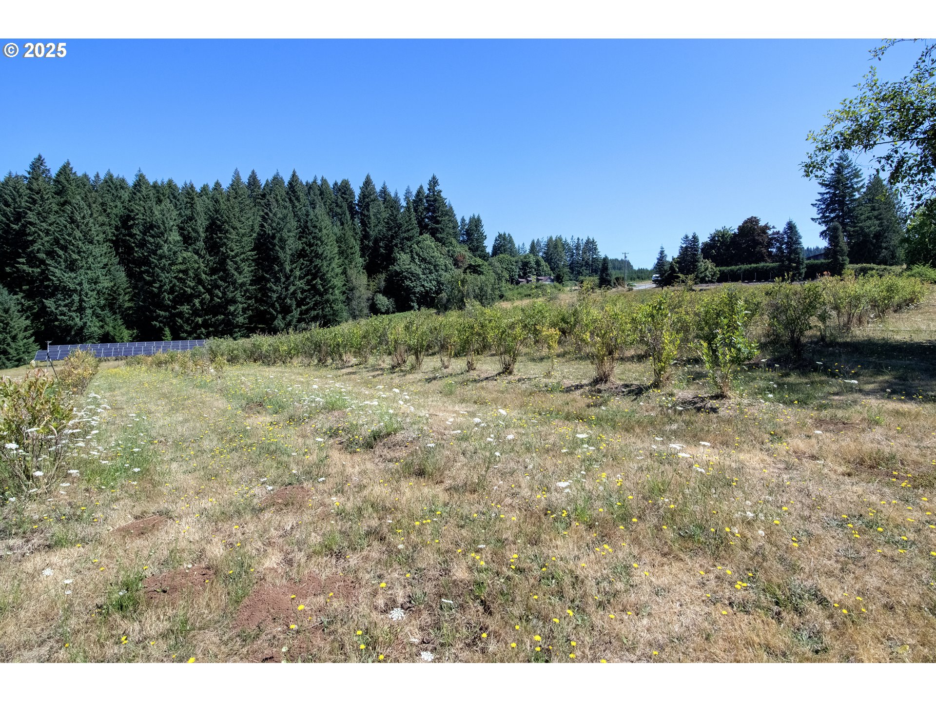 25113 S RIDGE RD, Beavercreek, OR, 97004