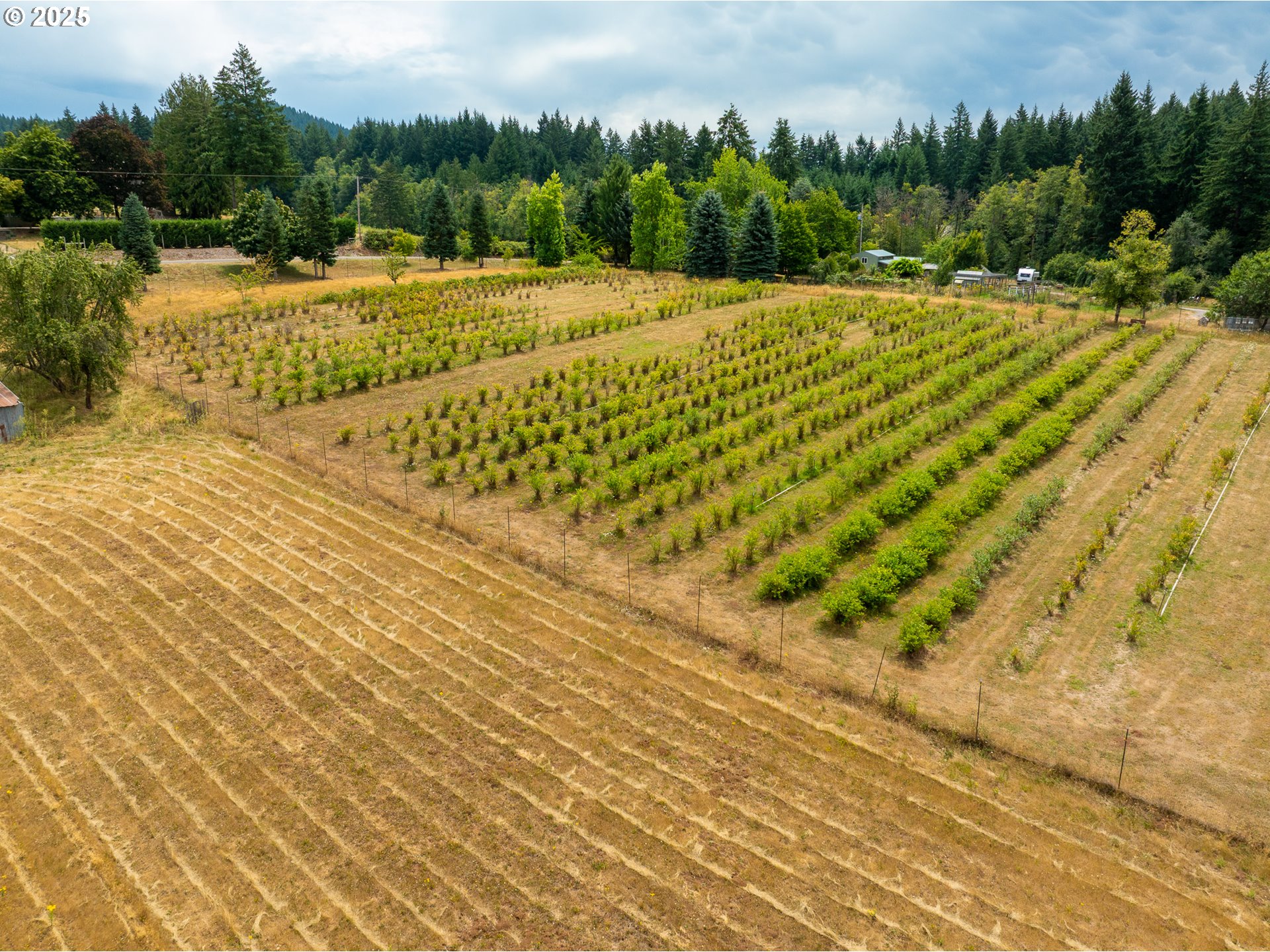 25113 S RIDGE RD, Beavercreek, OR, 97004