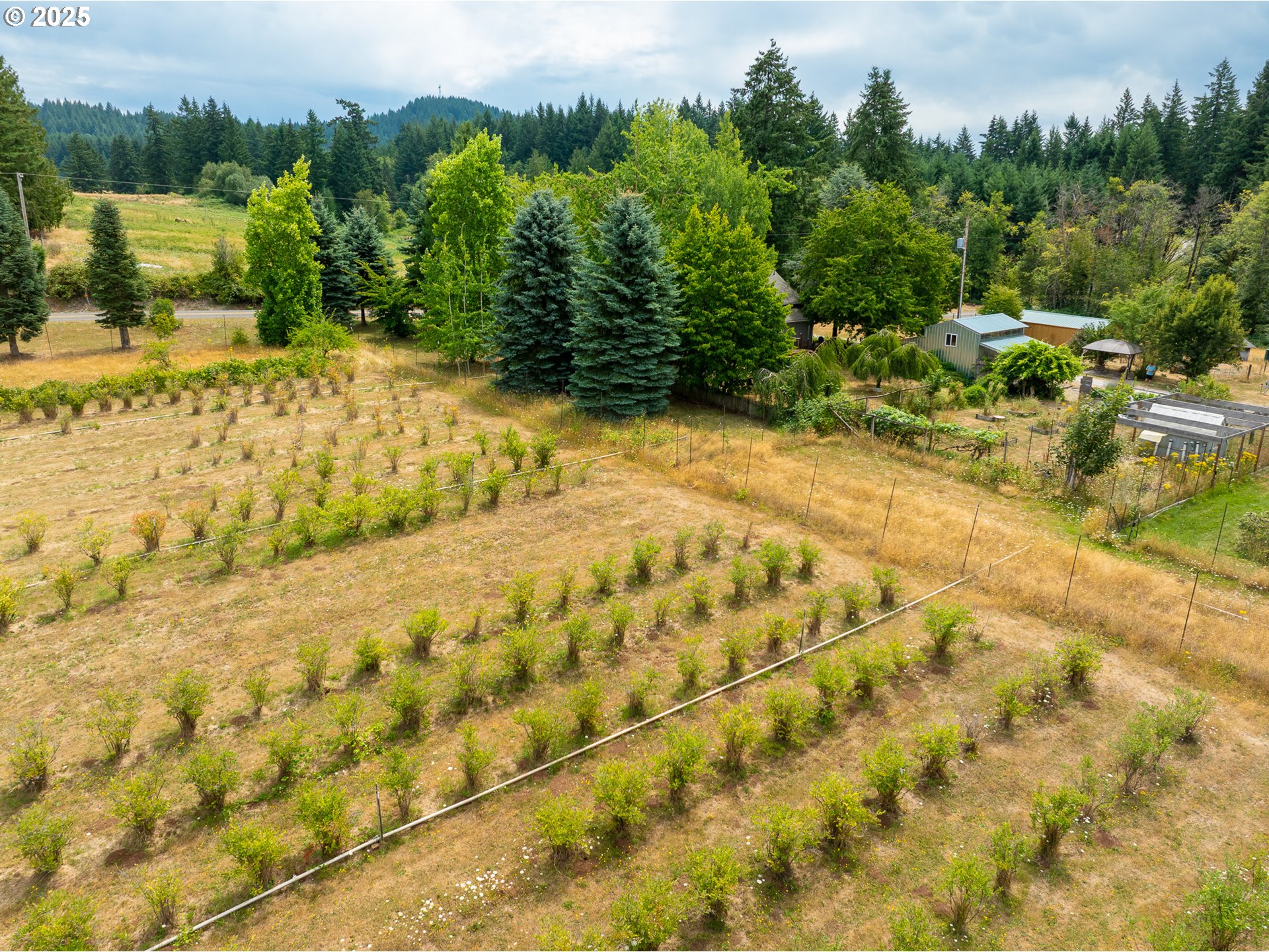 25113 S RIDGE RD, Beavercreek, OR, 97004