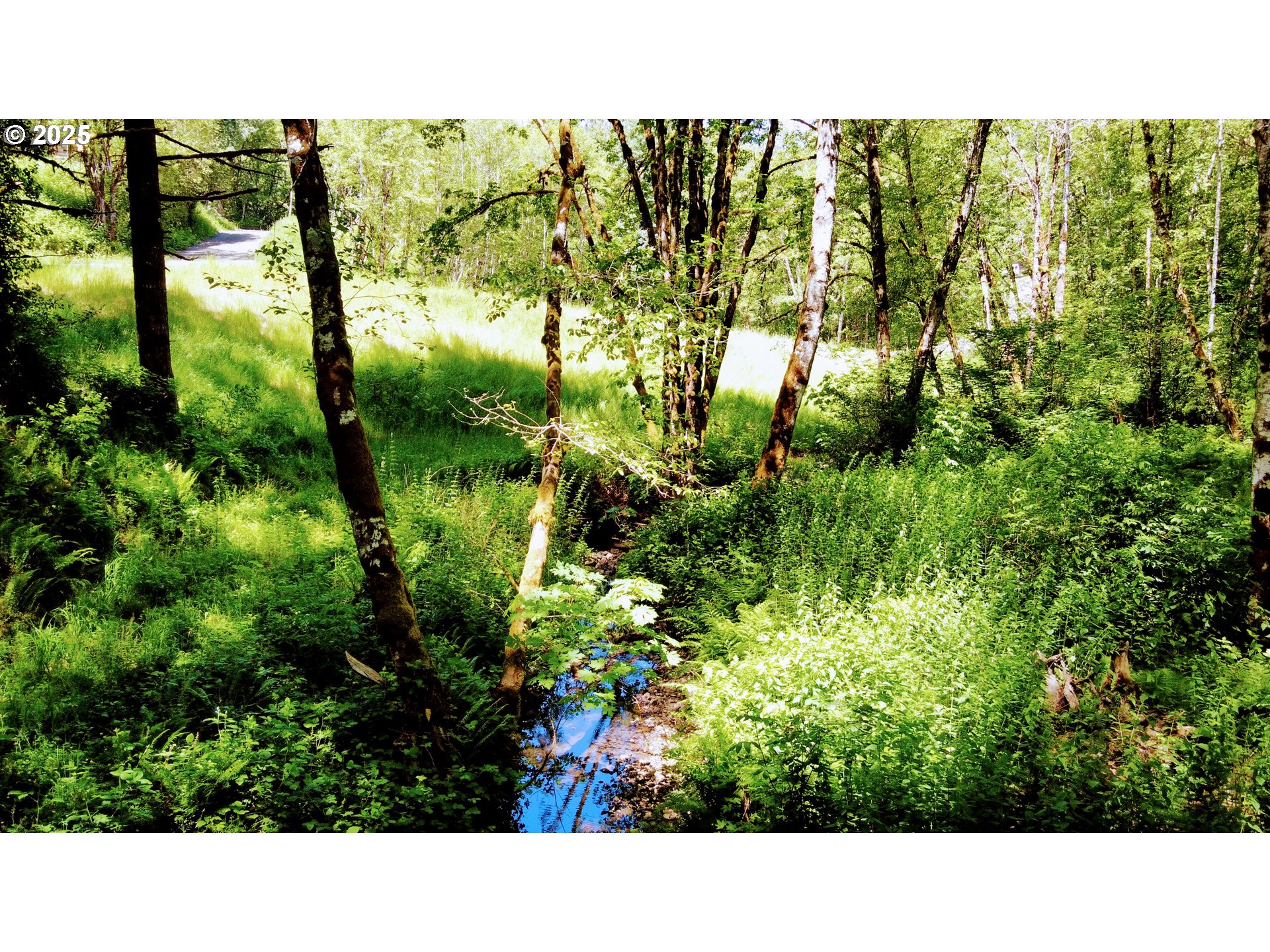 NW CORNELIUS PASS RD, Portland, OR, 97231