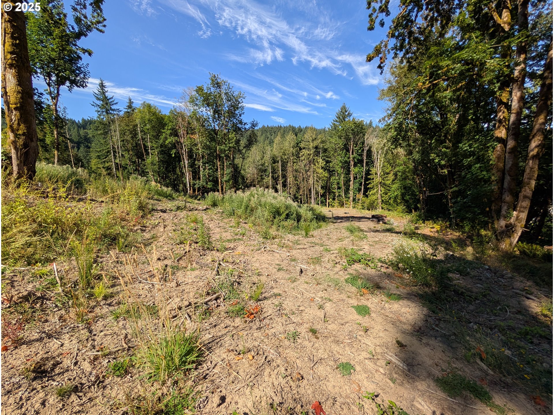 NW CORNELIUS PASS RD, Portland, OR, 97231