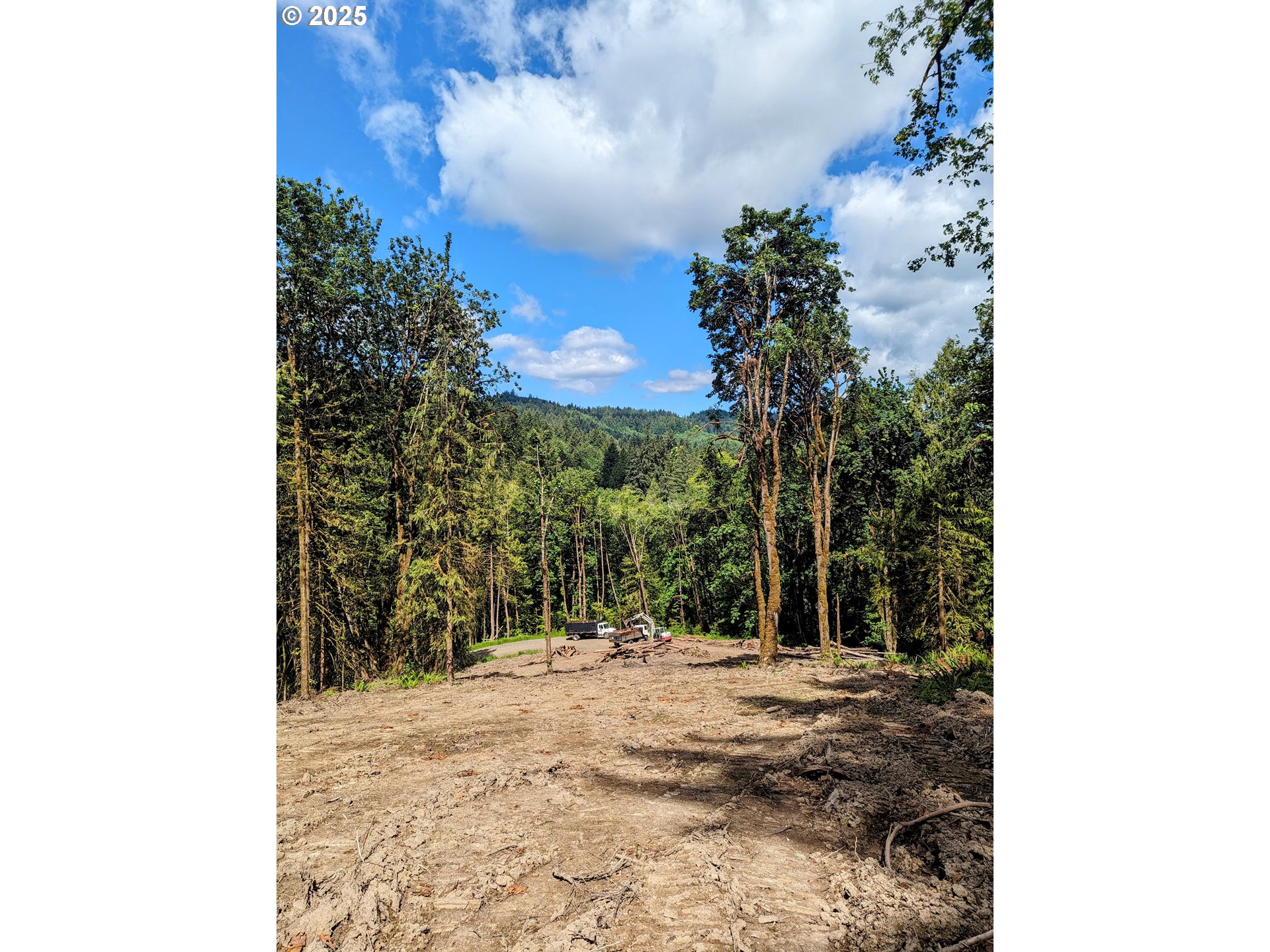 NW CORNELIUS PASS RD, Portland, OR, 97231