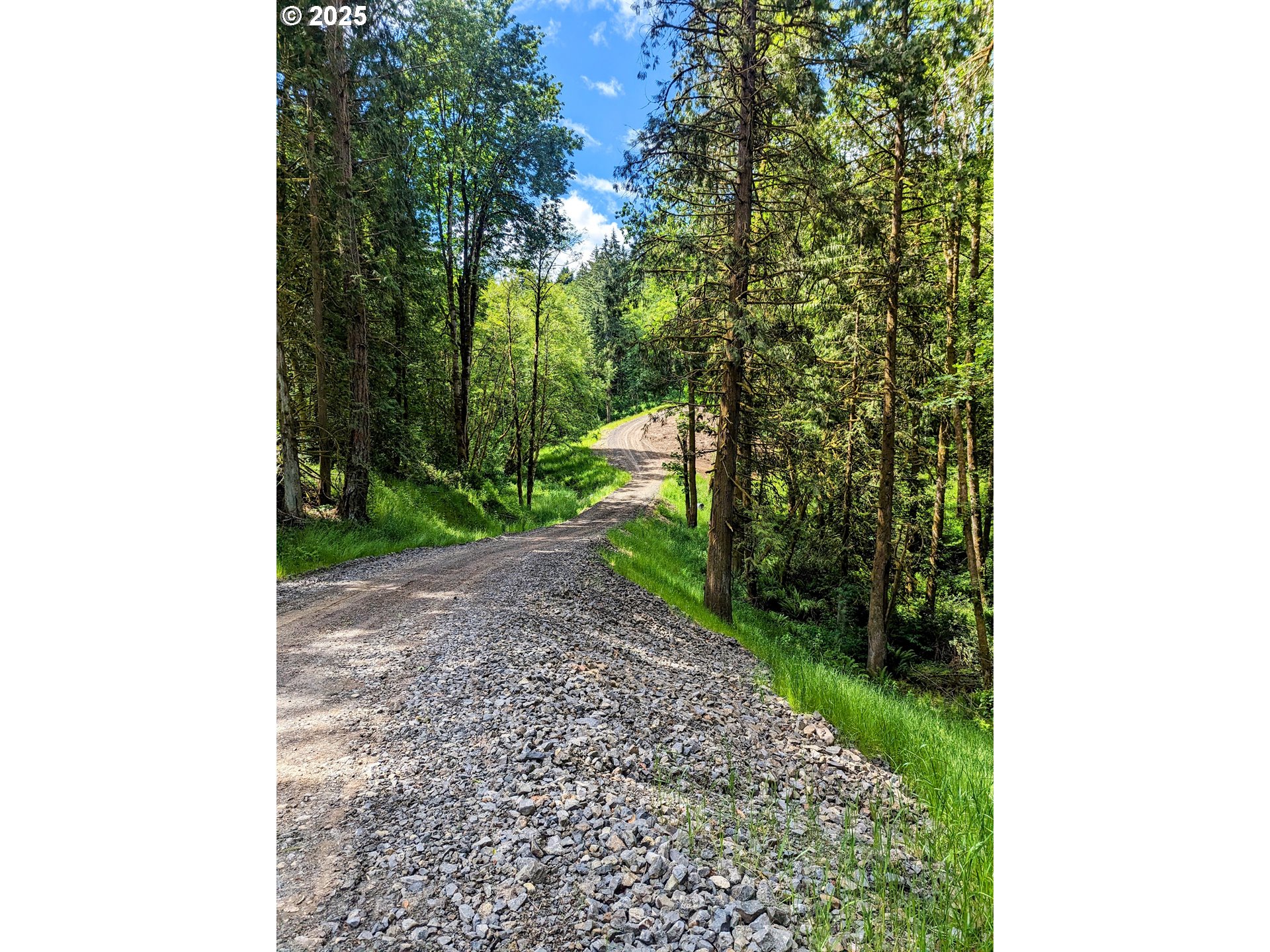 NW CORNELIUS PASS RD, Portland, OR, 97231