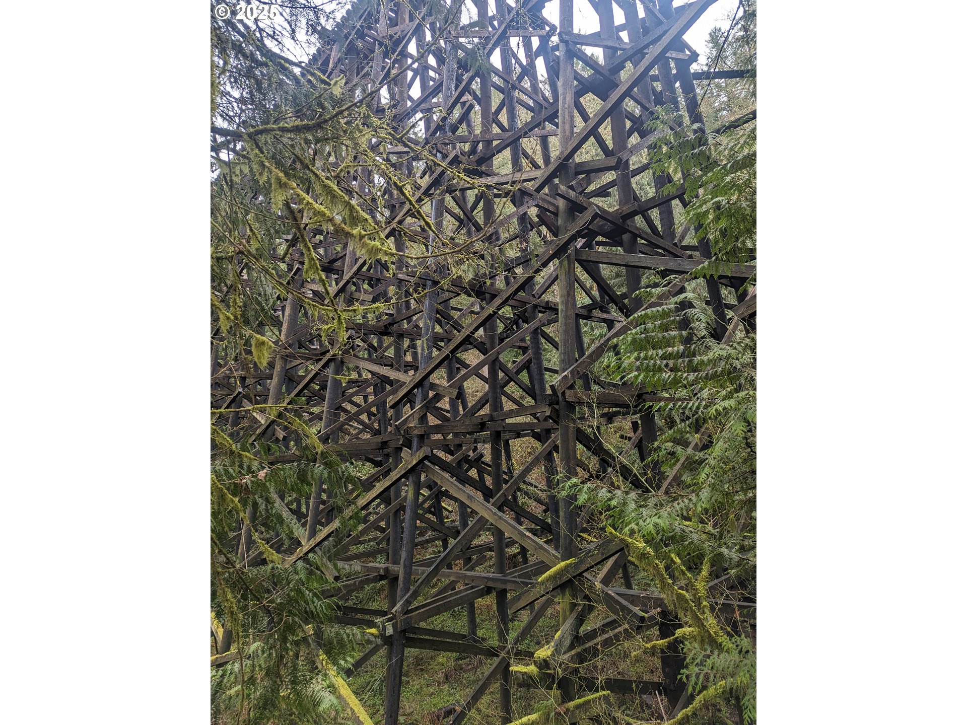 NW CORNELIUS PASS RD, Portland, OR, 97231