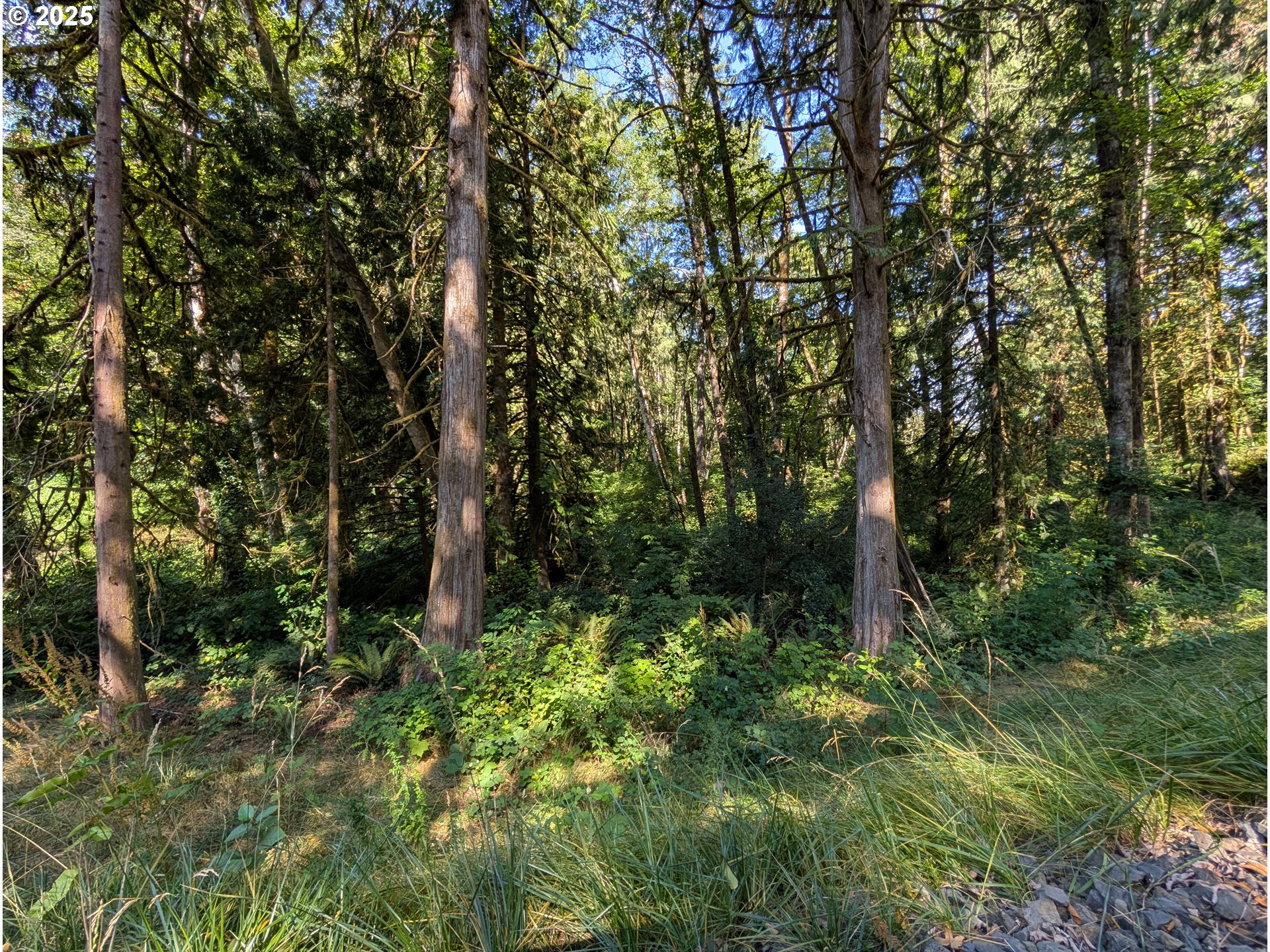 NW CORNELIUS PASS RD, Portland, OR, 97231