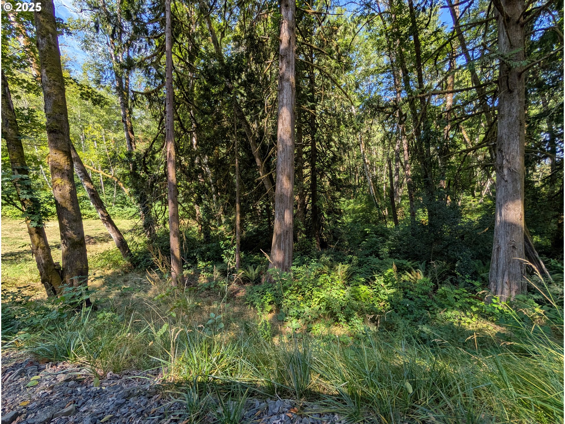 NW CORNELIUS PASS RD, Portland, OR, 97231