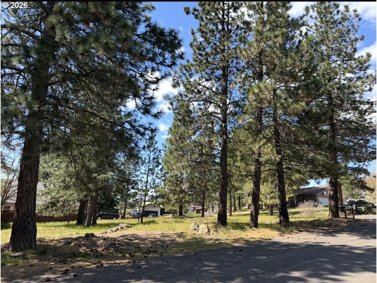 Search Homes for Sale