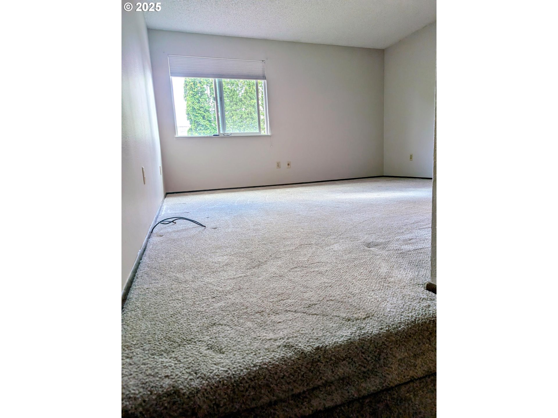 Photo #22: 474763381 Listing: Photo #22