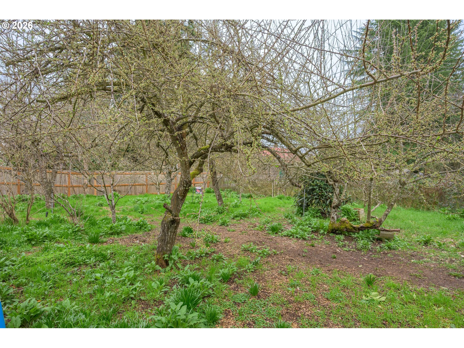 325 RIVER RD, Eugene, OR, 97404