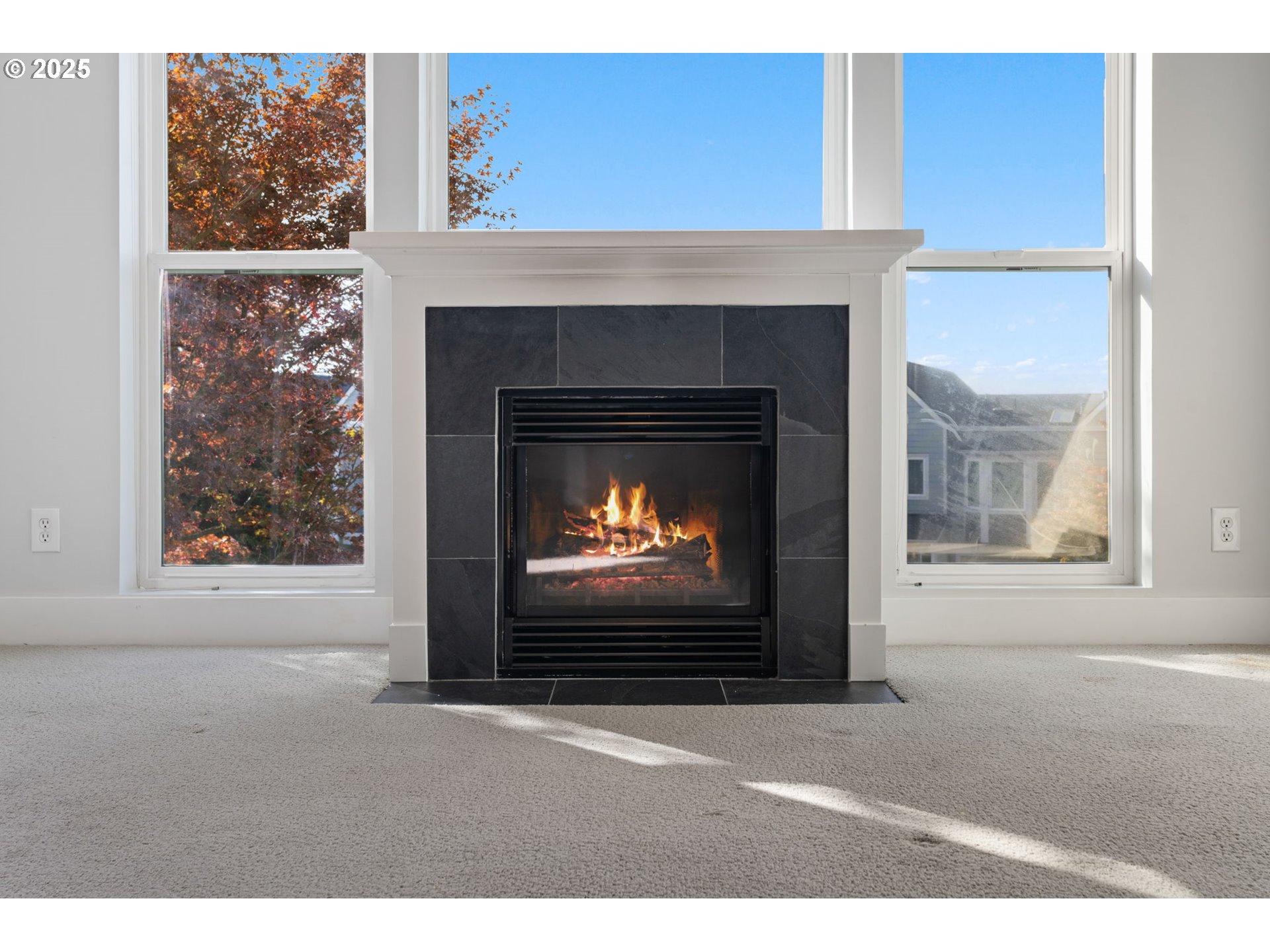 Photo #14: 477770202 Listing: Photo #14