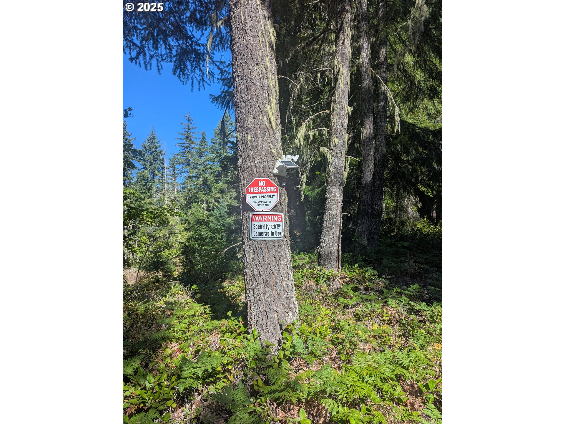 30 Nymark DR, Cougar, WA, 98616