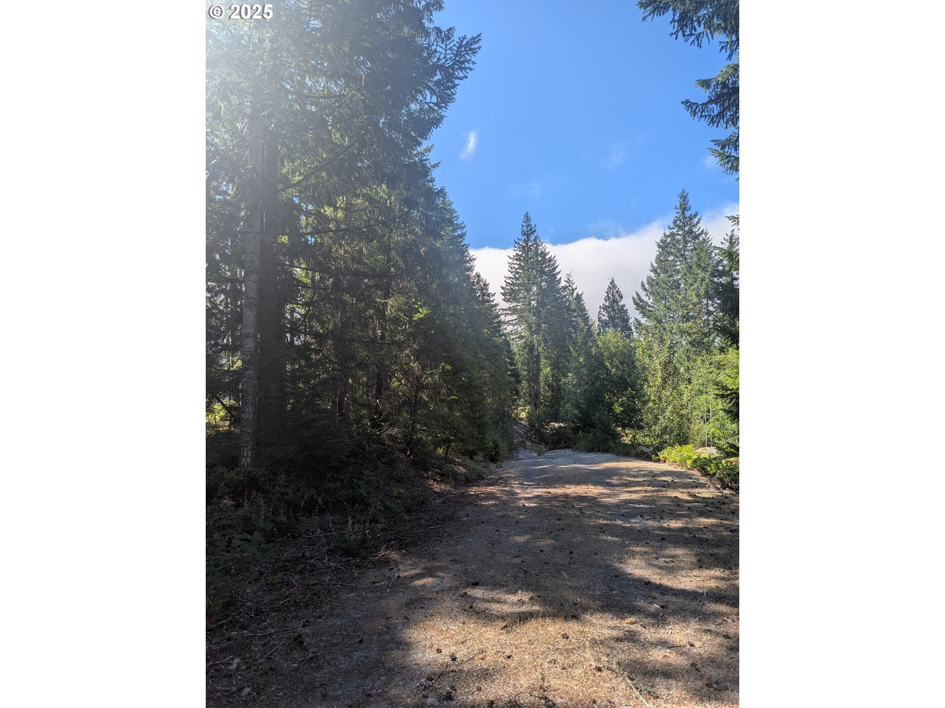 30 Nymark DR, Cougar, WA, 98616