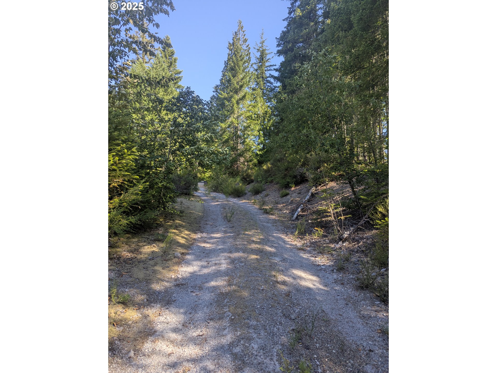 30 Nymark DR, Cougar, WA, 98616