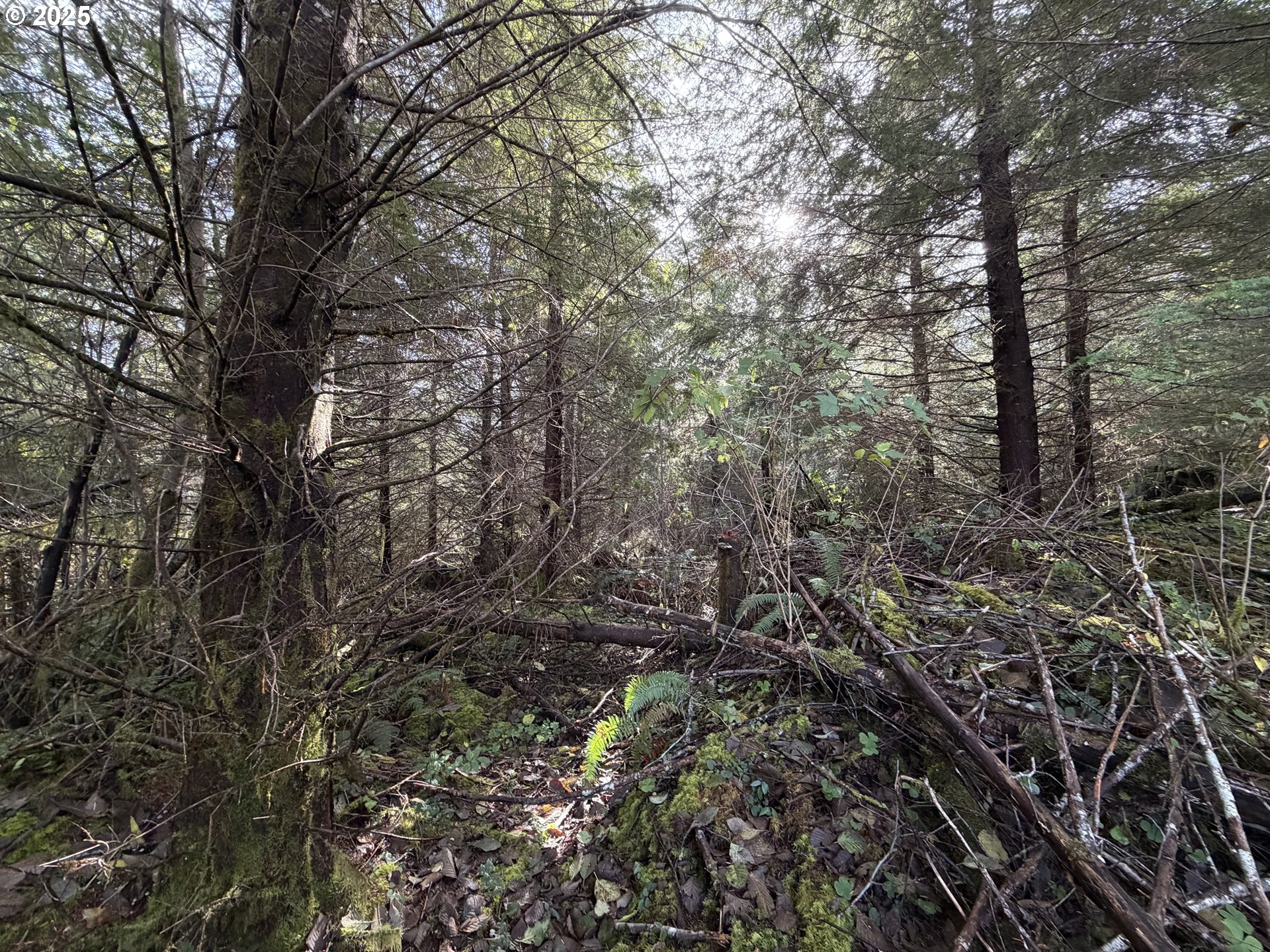 473 Meadows DR, Manzanita, OR, 97130