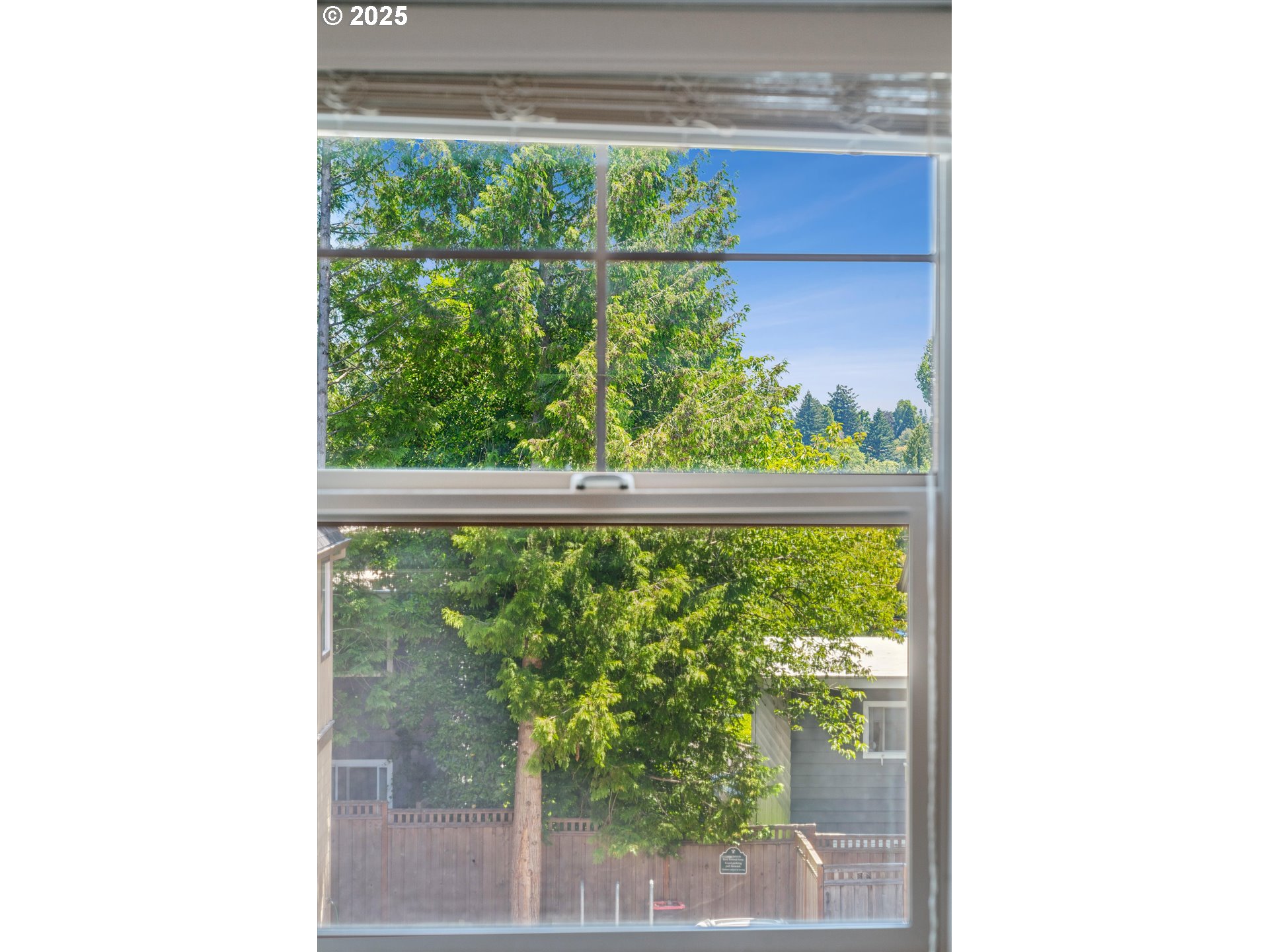 Photo #35: 479618366 Listing: Photo #35