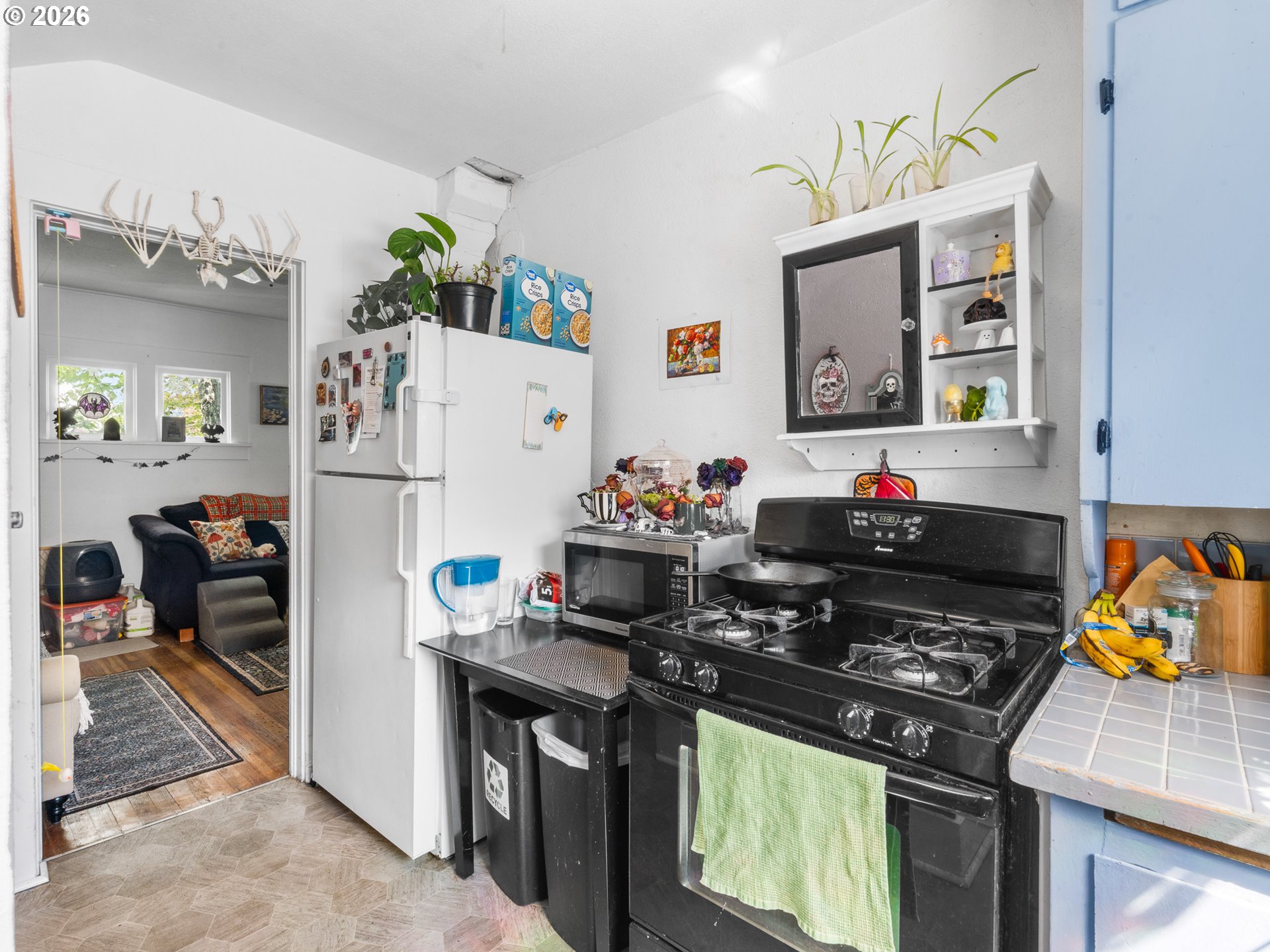 1262 NW VAN BUREN AVE, Corvallis, OR, 97330