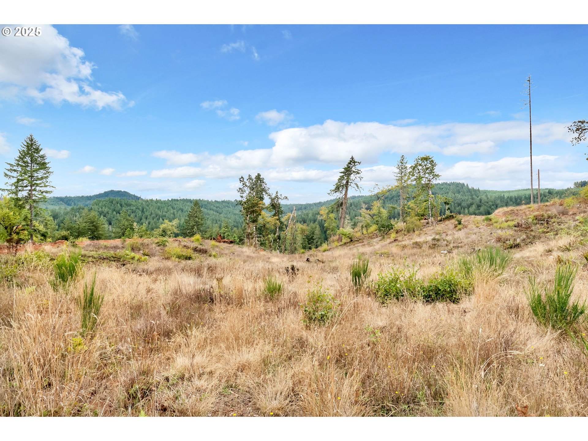 0 Sutherlin LN UNIT 01100, Eugene, OR, 97405