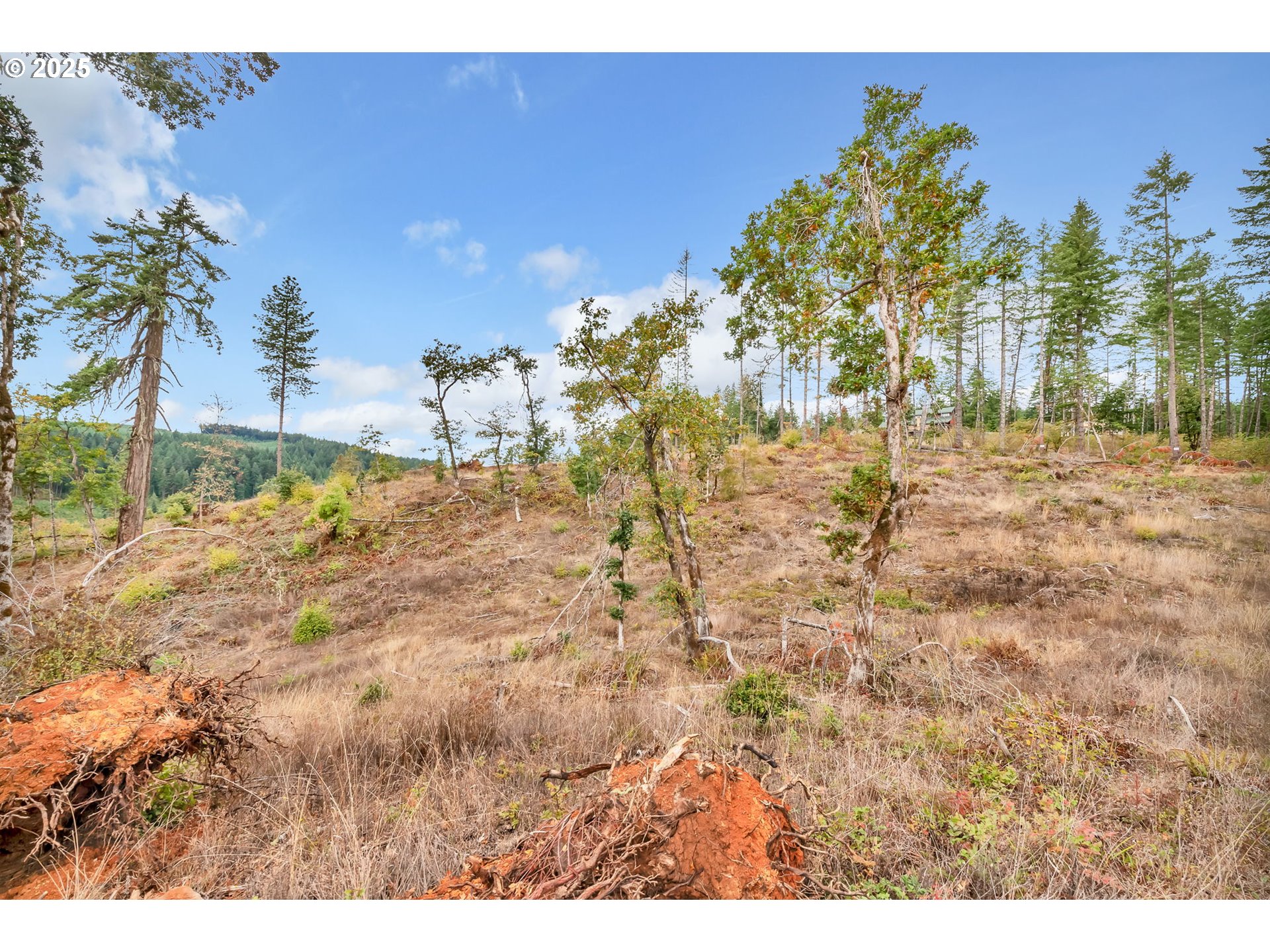 0 Sutherlin LN UNIT 01100, Eugene, OR, 97405