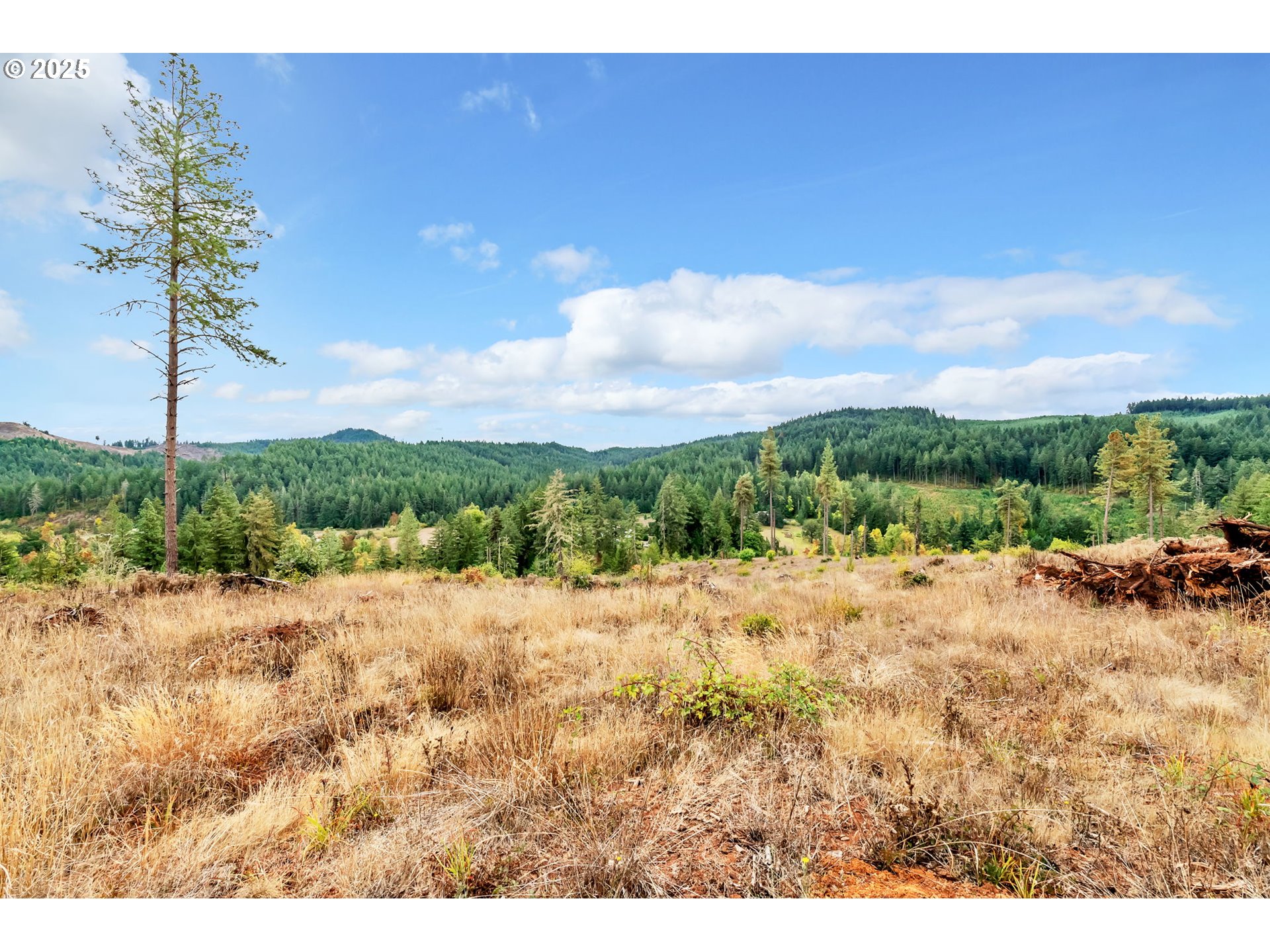 0 Sutherlin LN UNIT 01100, Eugene, OR, 97405