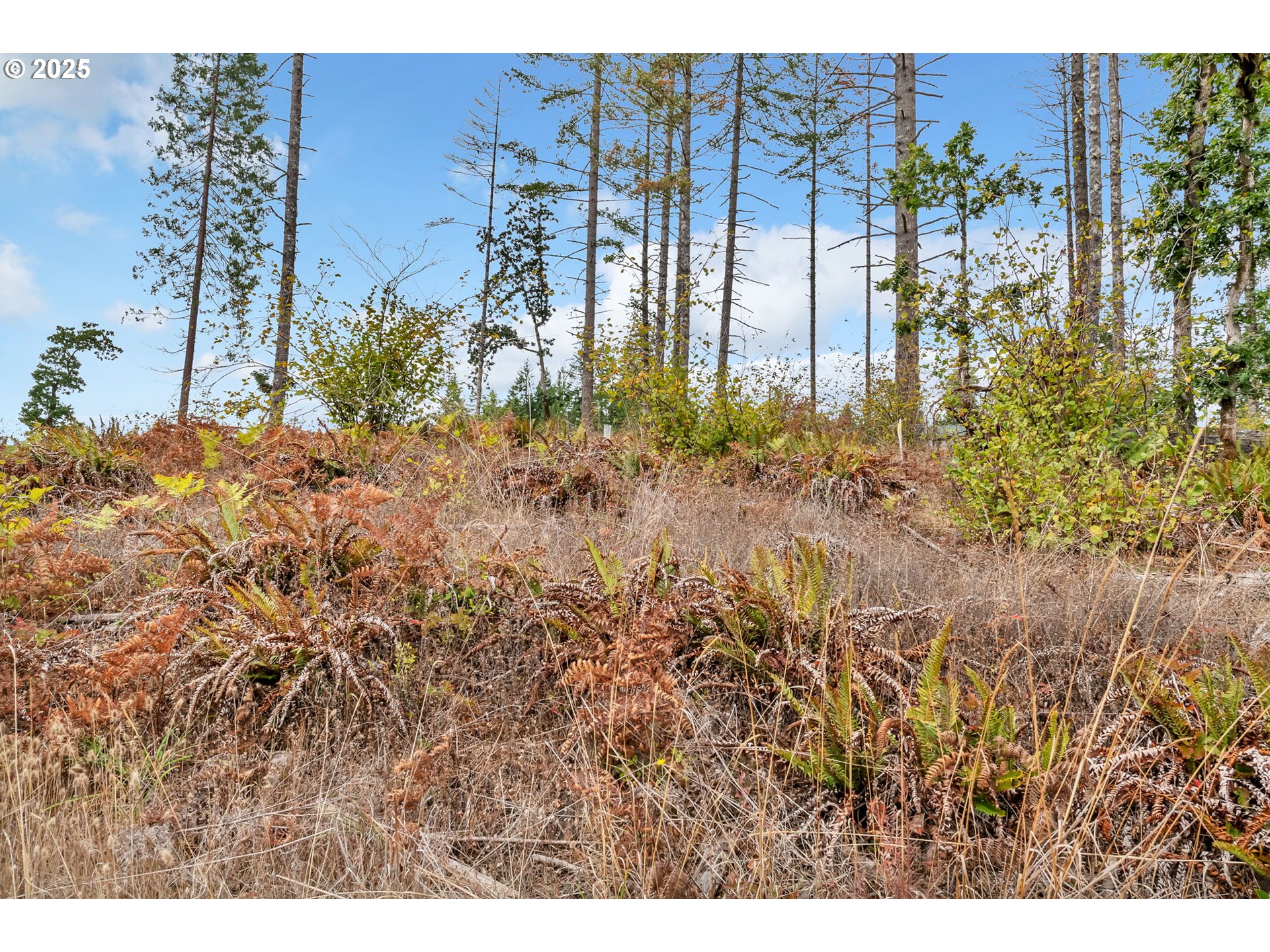 0 Sutherlin LN UNIT 01100, Eugene, OR, 97405