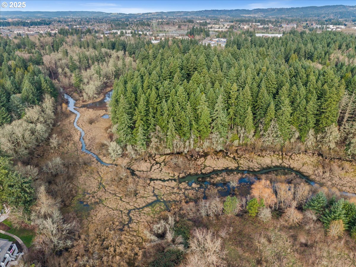 Photo #42: 489743165 Listing: Photo #42