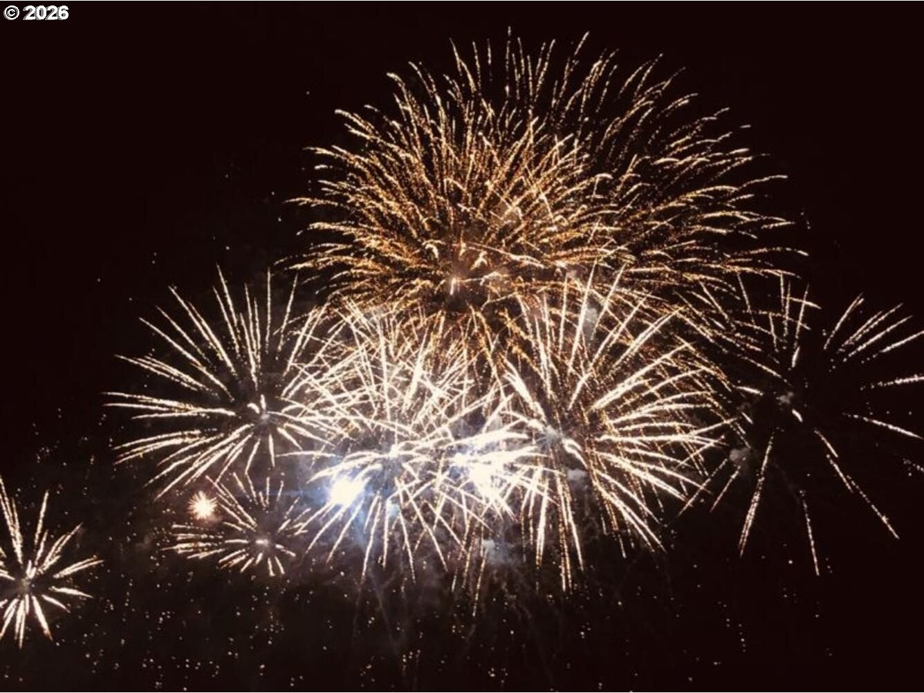 Photo #36: 490587285 Listing: Photo #36