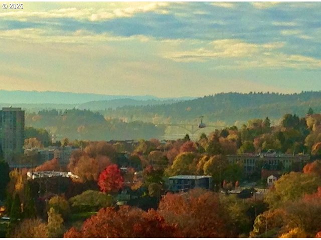 Photo #13: 490735232 Listing: Photo #13