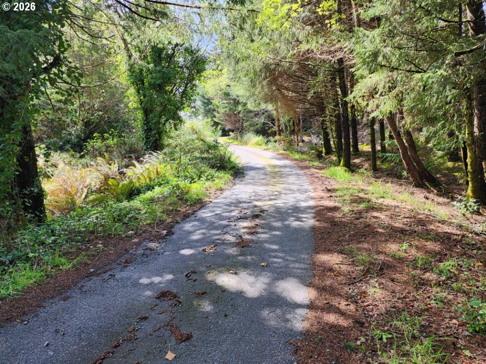 42550 S MILL POND RD, Port Orford, OR, 97465