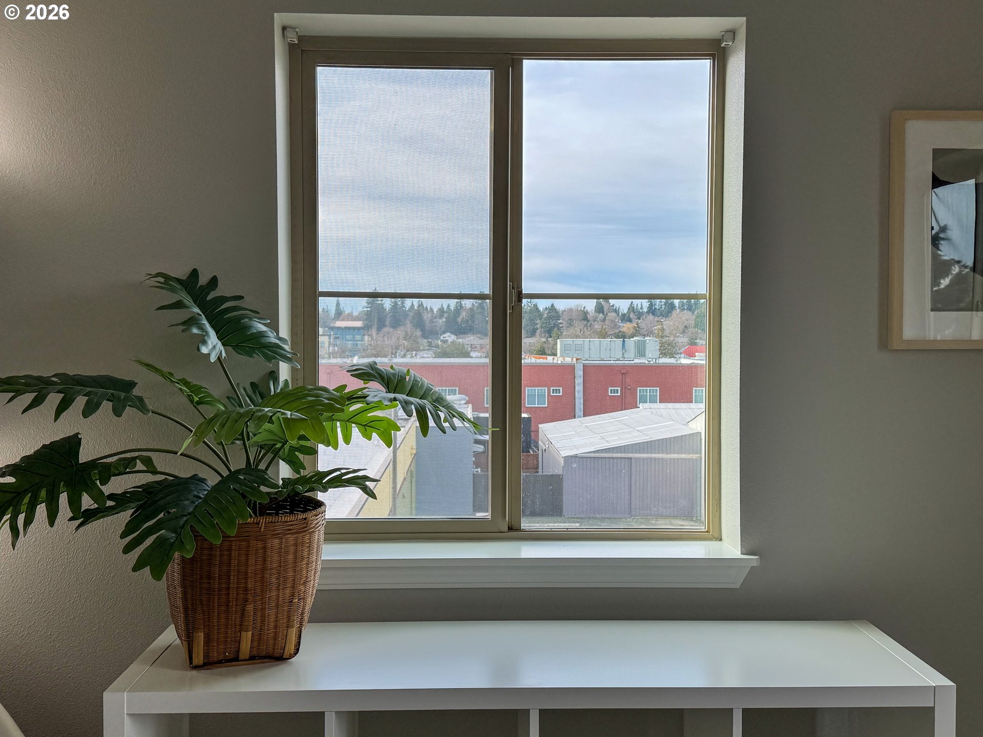 Photo #9: 493267348 Listing: Photo #9