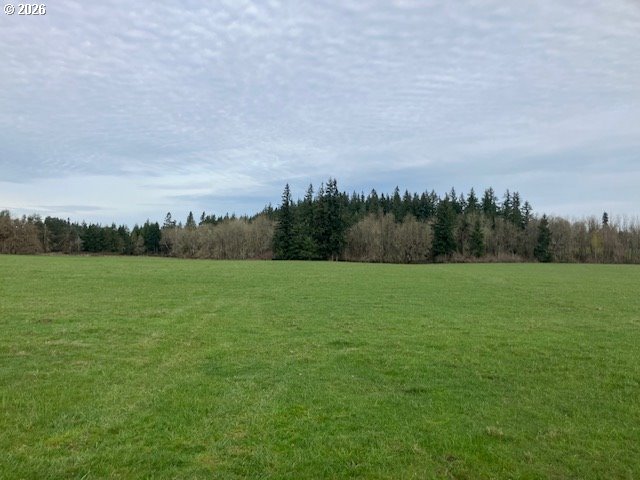 Homes on Acreage