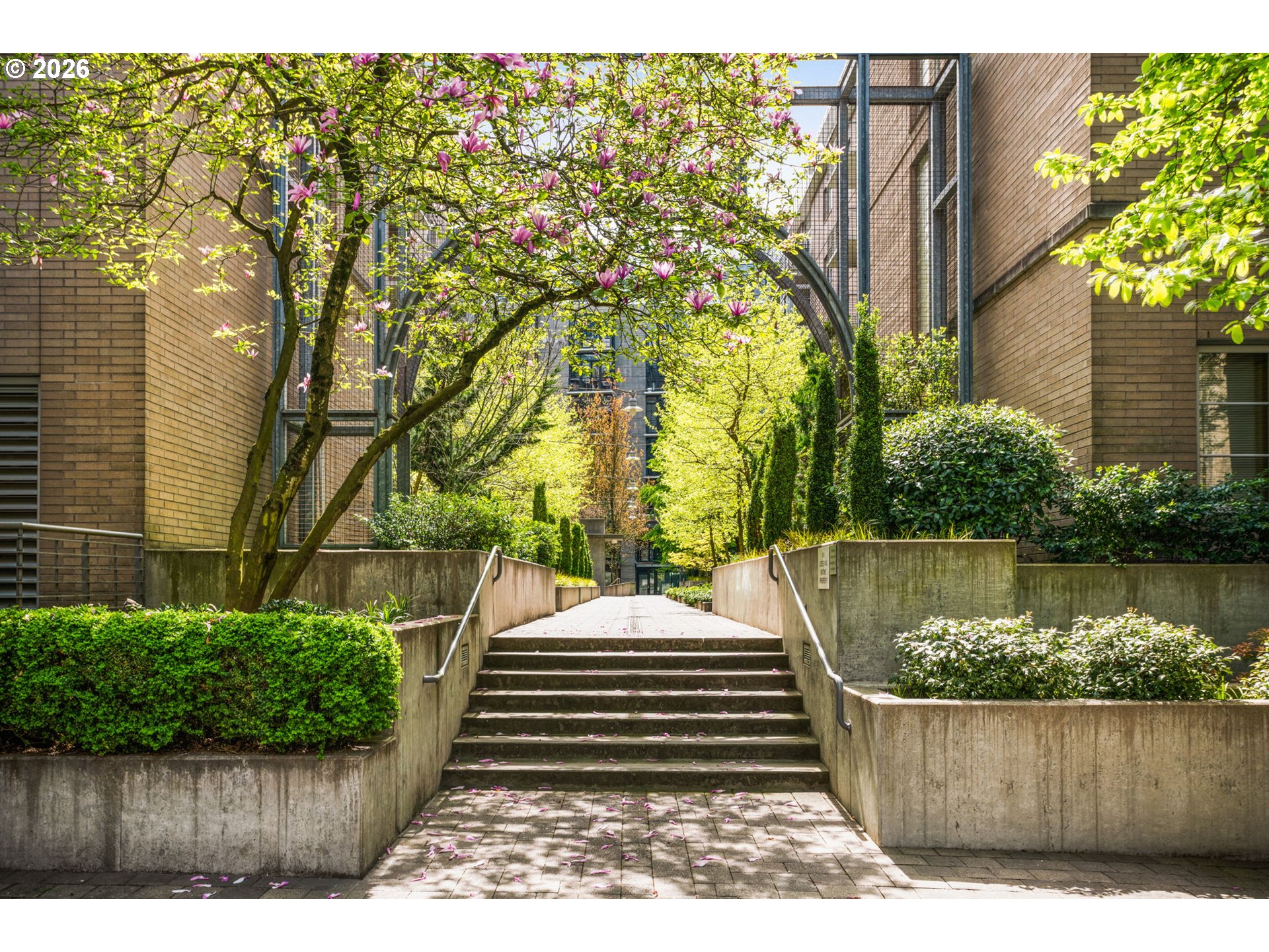 Photo #3: 496528187 Listing: Photo #3