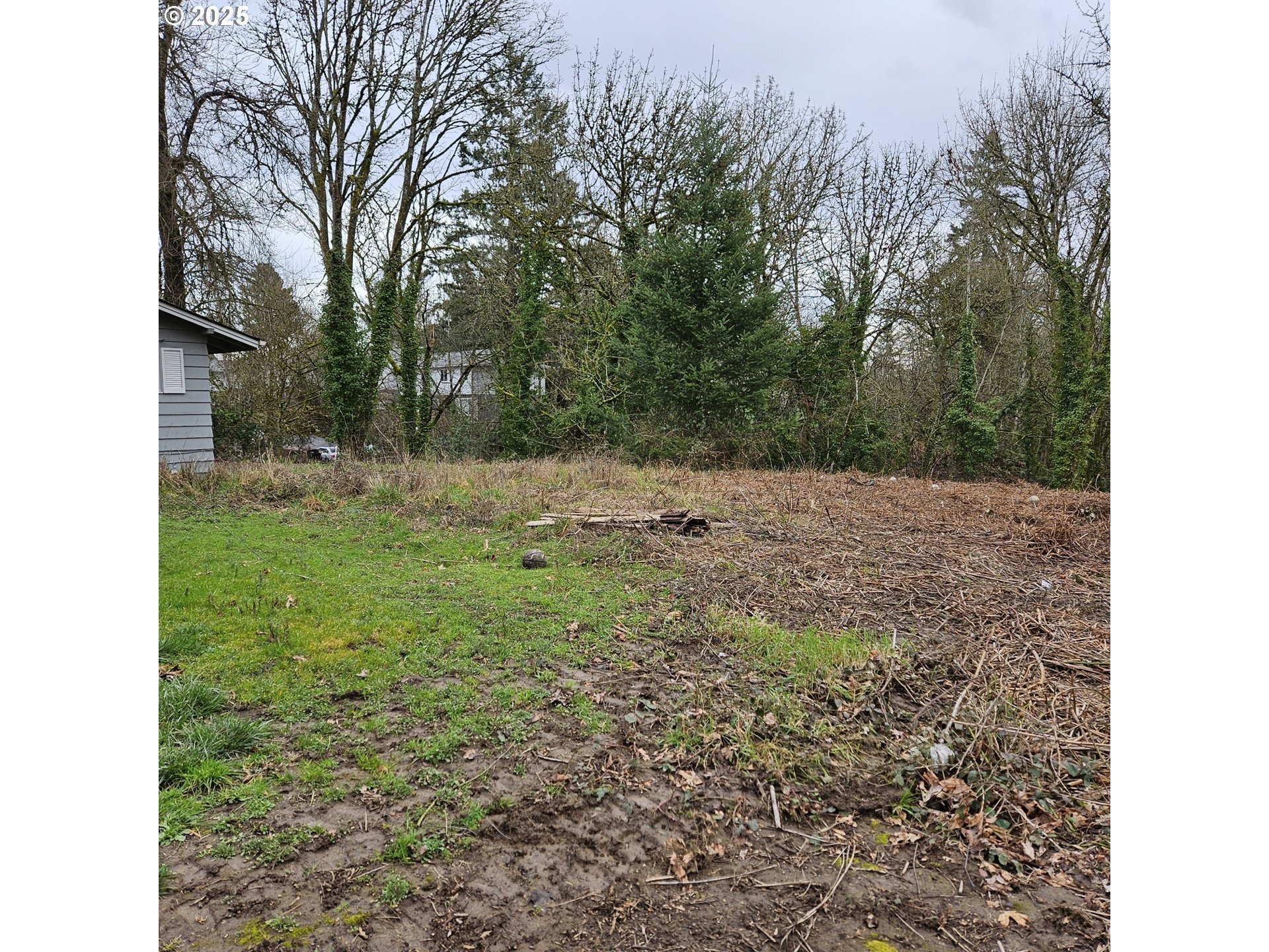 Search Homes for Sale