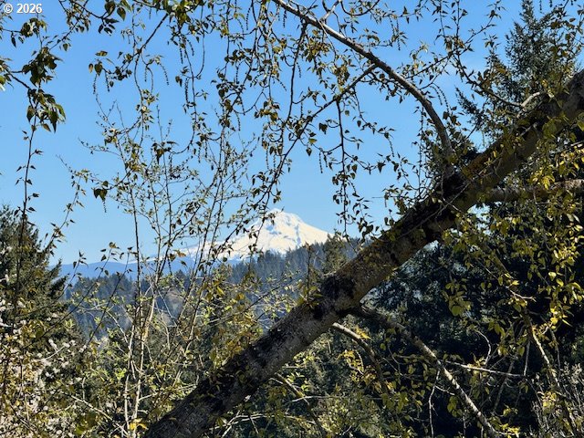 Dorset LN, Happy Valley, OR, 97086