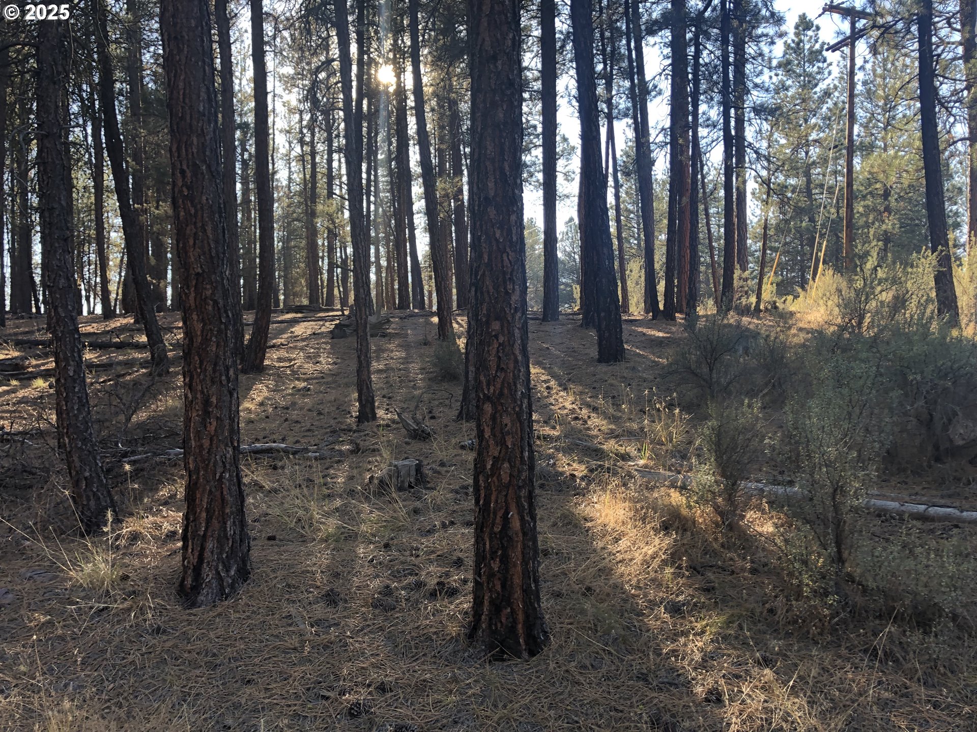 Search Homes for Sale