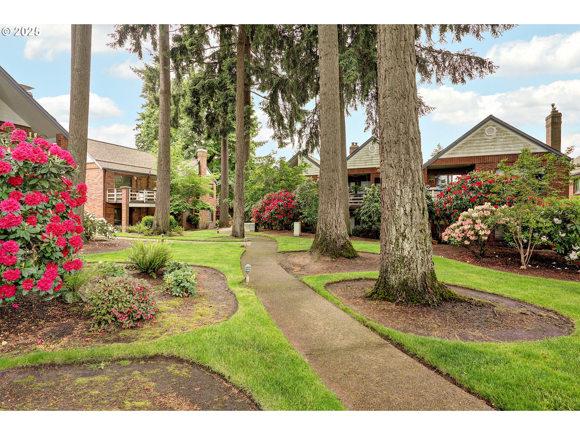 Photo #21: 505089782 Listing: Photo #21