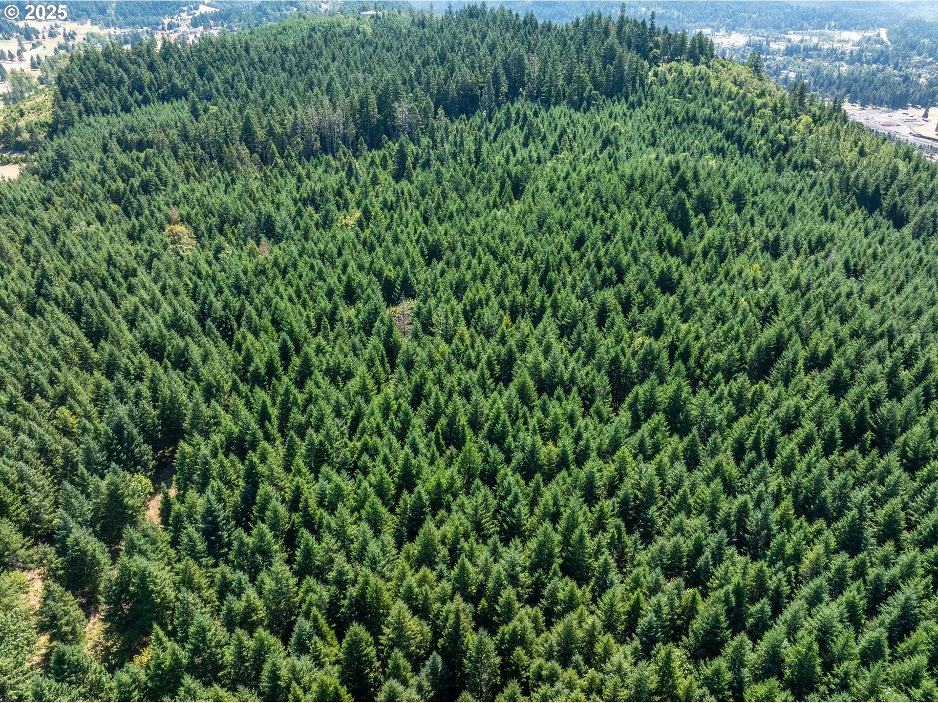 18300 BRYANT RD, Lake Oswego, OR, 97034