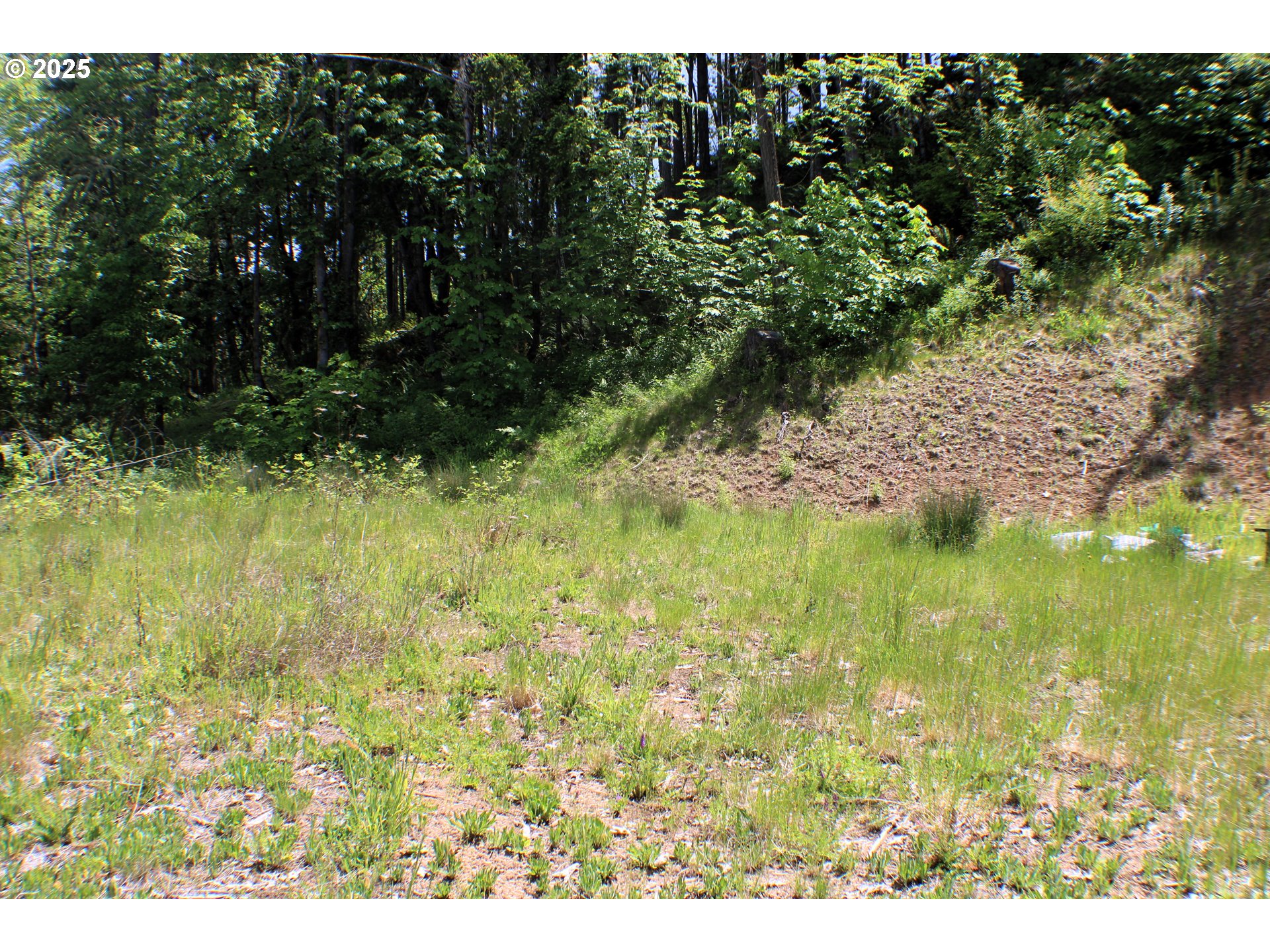 Search Homes for Sale