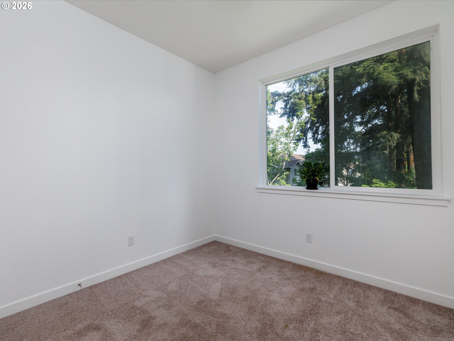 Photo #25: 509633561 Listing: Photo #25