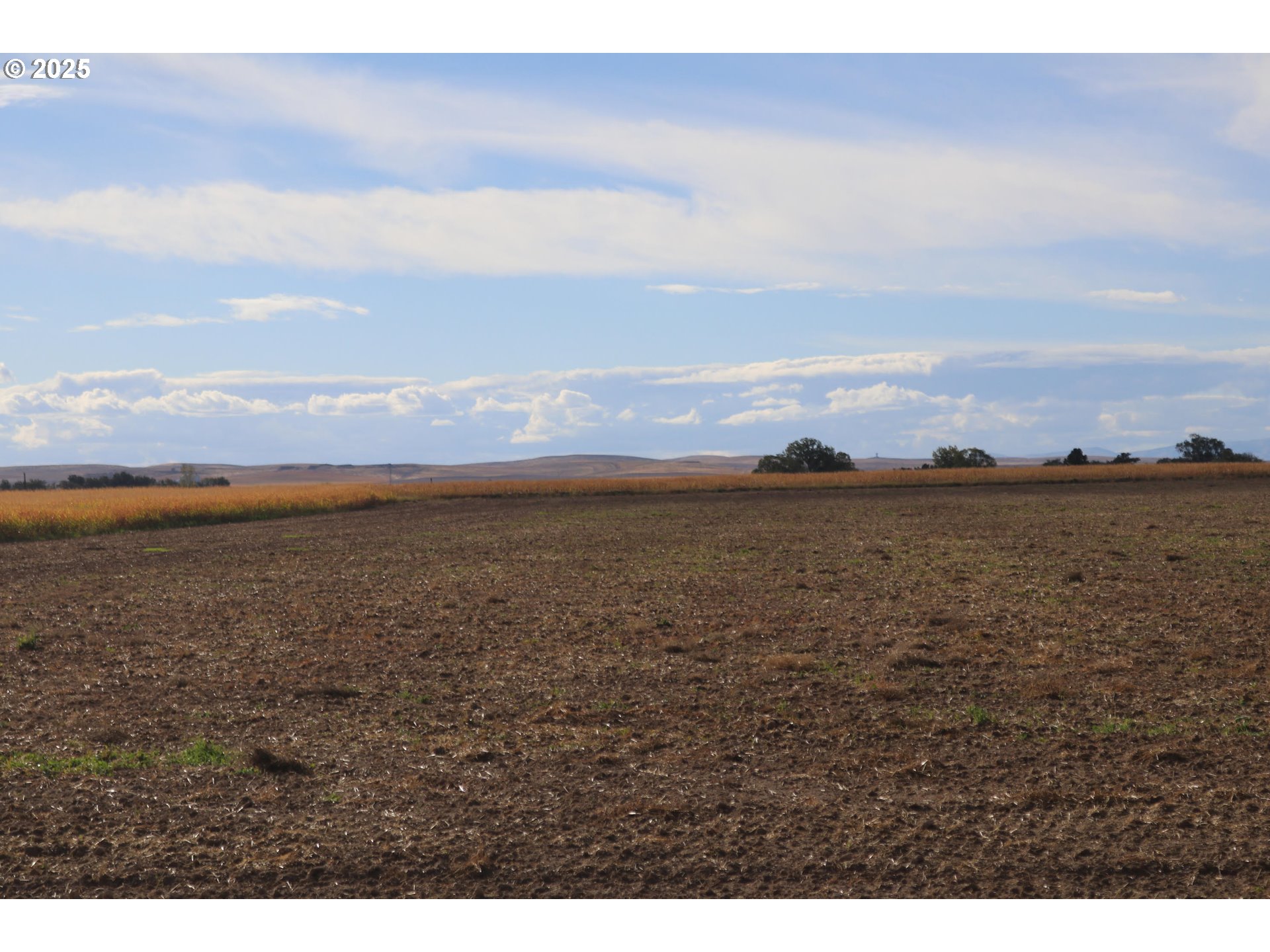 Search Homes for Sale