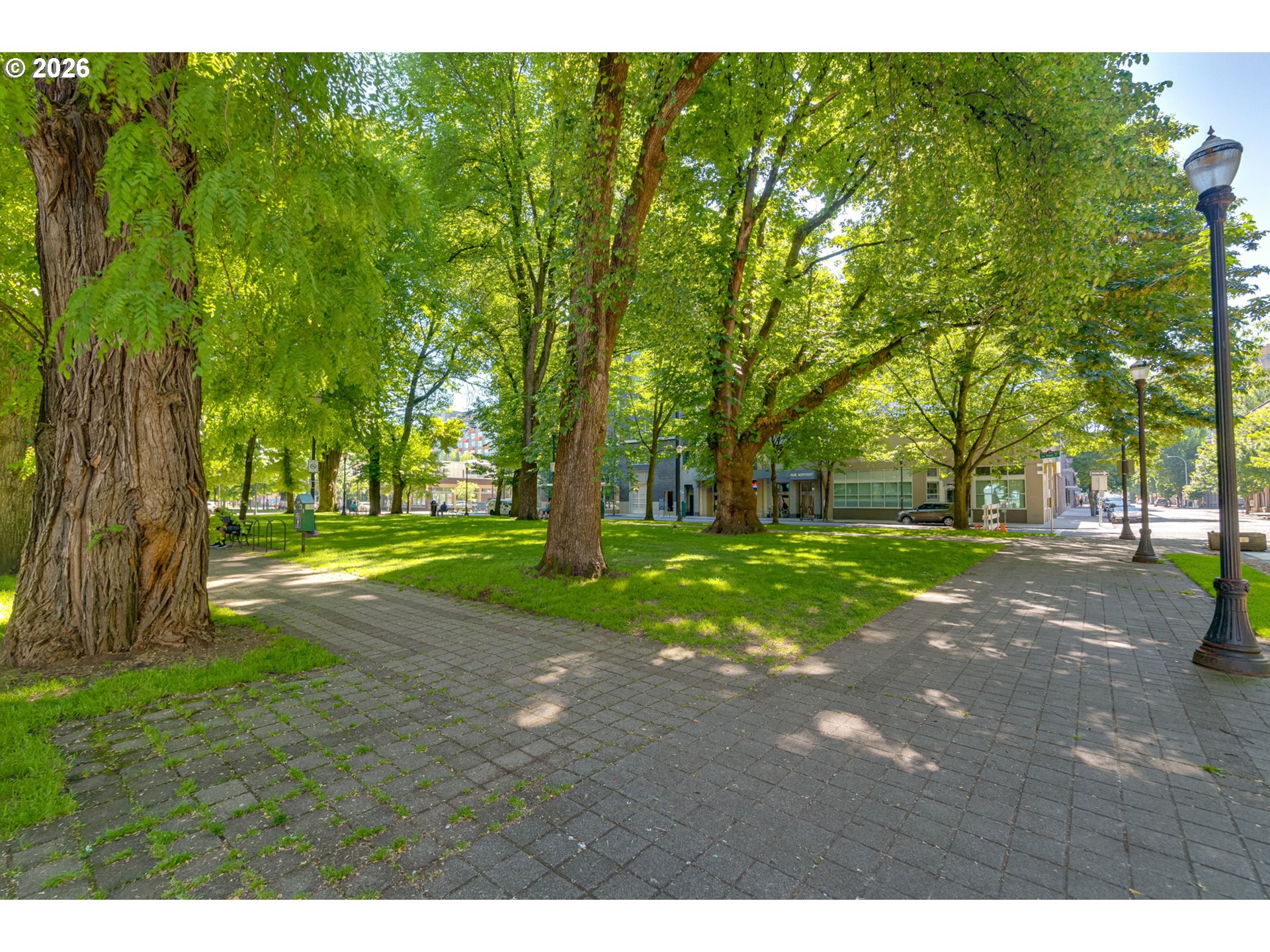 Photo #19: 511206843 Listing: Photo #19