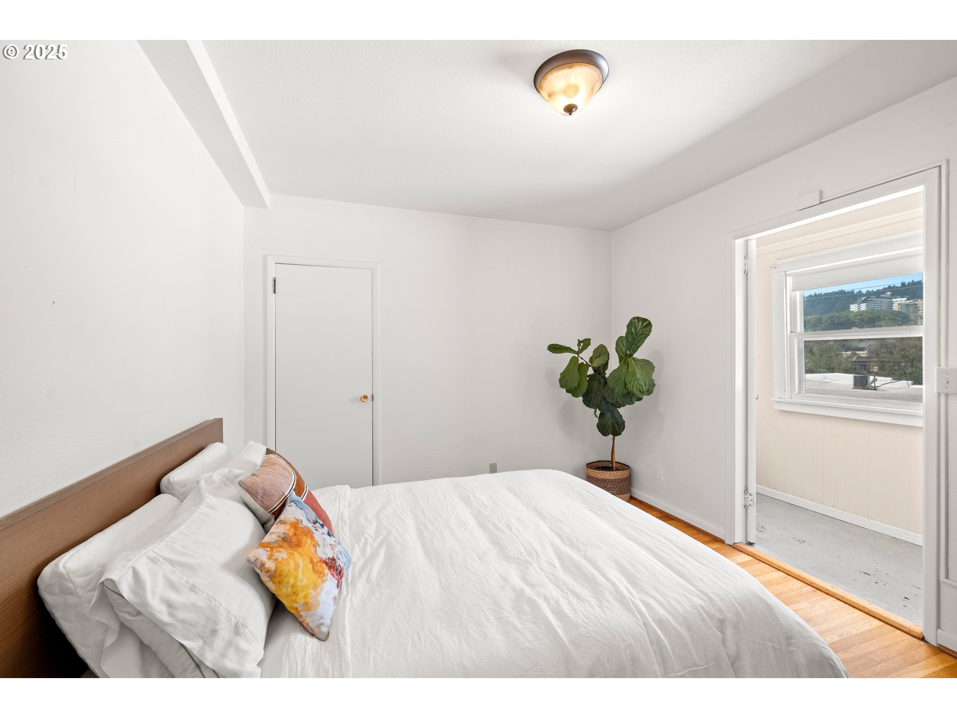 Photo #17: 511755902 Listing: Photo #17