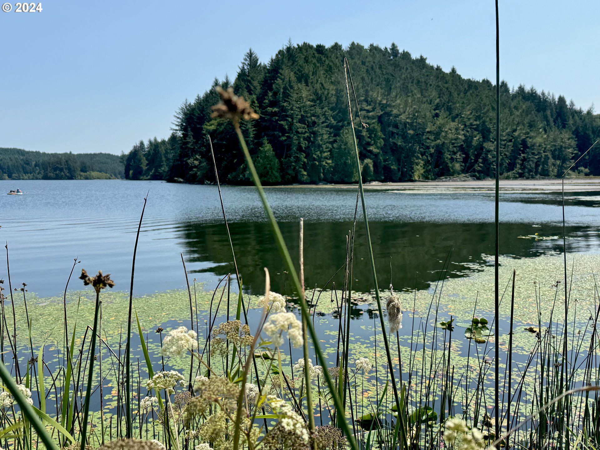 6629 CHAMPOEG (Next To) RD, St Paul, OR, 97137